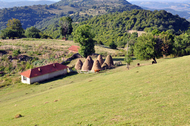 Similar image 925992