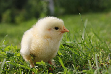 Similar image 926046