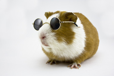 Similar image 926057