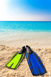 Similar image 926141