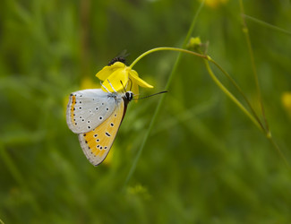 Similar image 926305