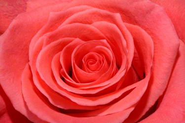 Similar image 926308