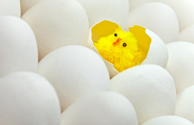 Similar image 926334