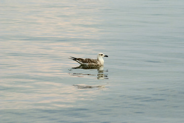 Similar image 926362