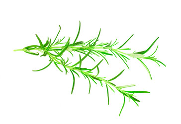 Similar image 926380