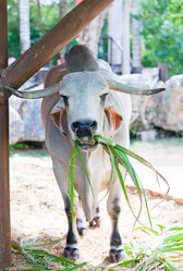 Similar image 926474