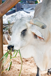 Similar image 926477