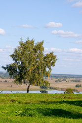 Similar image 926517