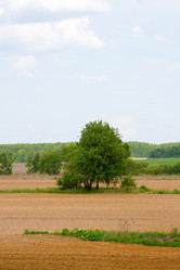 Similar image 926524