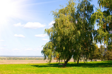 Similar image 926525