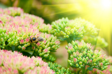 Similar image 926533