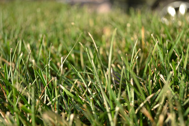 Similar image 926573