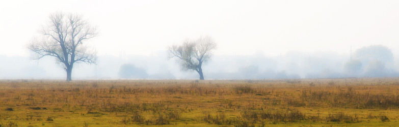 Similar image 926593