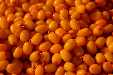 Similar image 926596