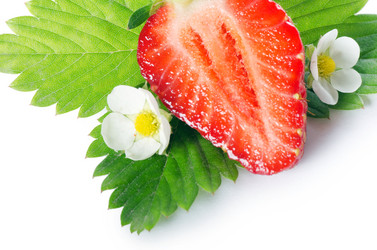 Similar image 926605