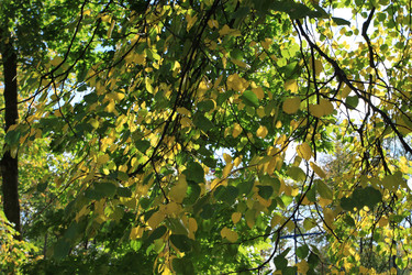 Similar image 926611