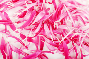 Similar image 926632