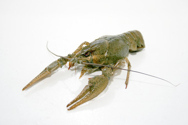 Similar image 926637