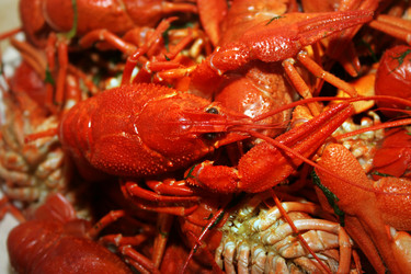 Similar image 926639