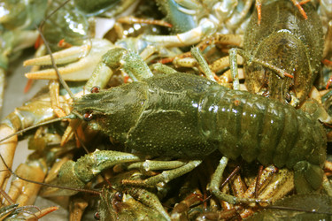 Similar image 926680