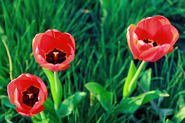 Similar image 926701