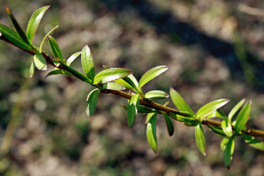 Similar image 926702