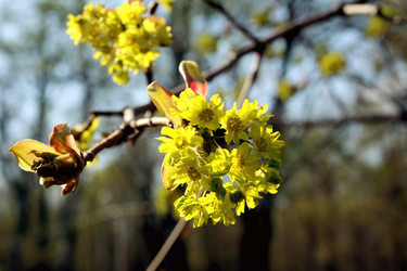 Similar image 926714