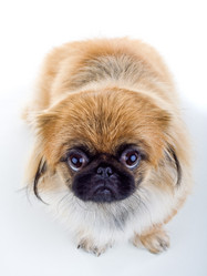 Similar image 926724