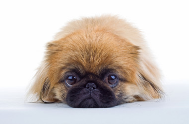 Similar image 926725