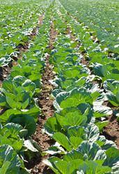 Similar image 926778