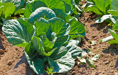 Similar image 926780