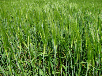 Similar image 926831