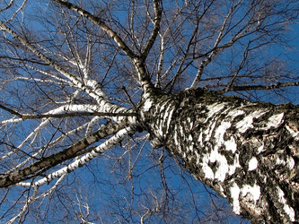 Similar image 926835