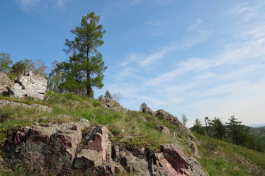 Similar image 926850