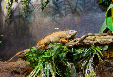 Similar image 926859