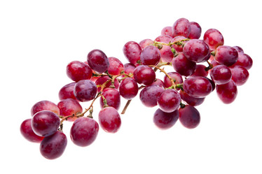 Similar image 926919