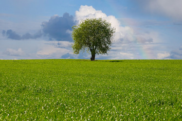 Similar image 926935