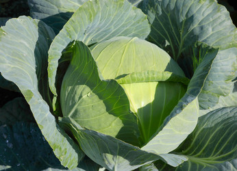 Similar image 926976