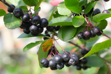 Similar image 926985