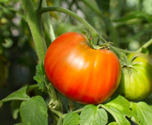 Similar image 926998