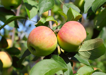 Similar image 927011