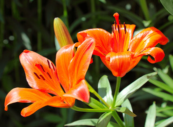 Similar image 927024