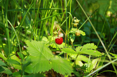 Similar image 927046