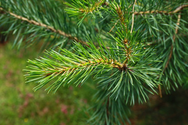 Similar image 927152