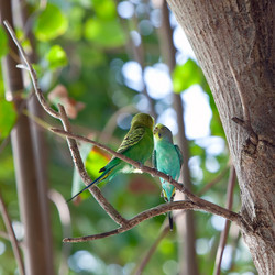 Similar image 927157