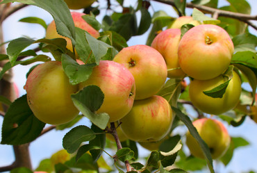 Similar image 927165