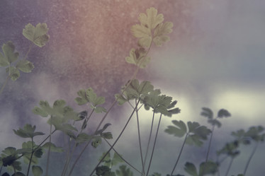 Similar image 927166