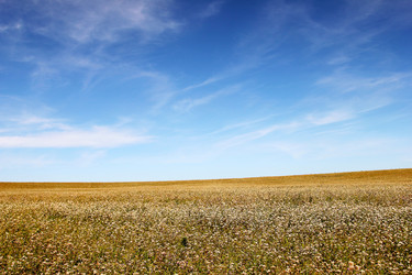 Similar image 927170