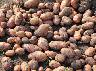 Similar image 927181