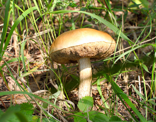 Similar image 927193